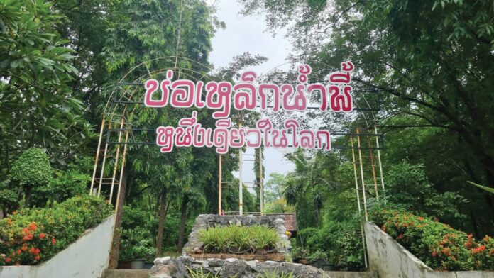 ชวนกันมา พากันมู