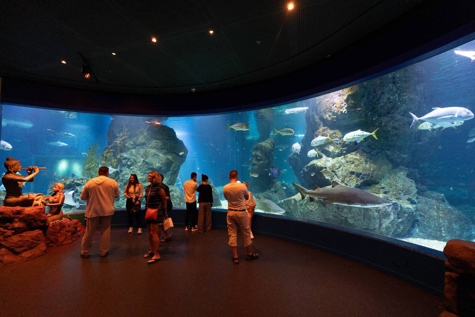 ภาพประกอบข่าว: ซีไลฟ์ แบงคอก ครบ 20 ปี จัดโชว์นางเงือก “Dive Into the Water Dance”