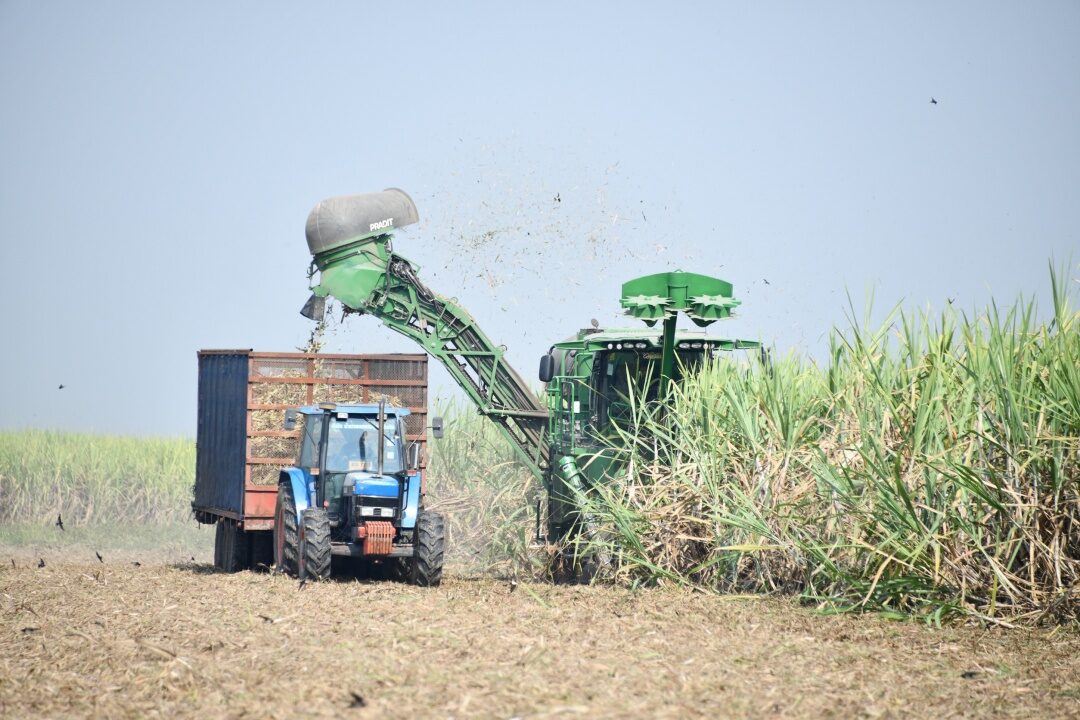 ภาพประกอบข่าว: ก.อุตฯ เร่งถก สอน. ผุดมาตรการช่วยเหลือชาวไร่อ้อย ชง ครม. เห็นชอบเร็วๆ นี้