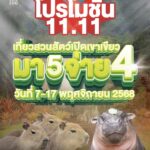ฉลองเทศกาล 11.11 สวนสัตว์เปิดเขาเขียว จัดโปรสุดปัง ชวนครอบครัว-แก๊งเพื่อนซี้เที่ยว