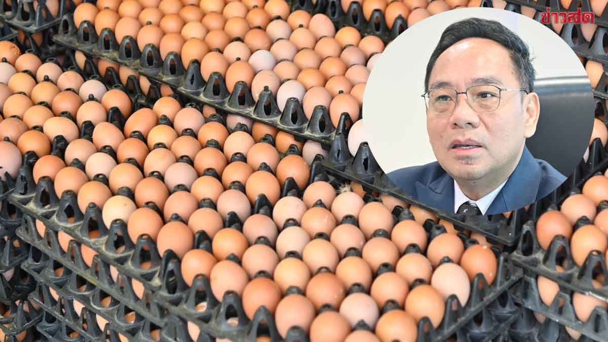.ค้าภายใน เปิดจุดขายไข่ 3.5 ล้านฟองทั่วไทย เร่งดูดซับผลผลิตแก้ปมราคาตก.