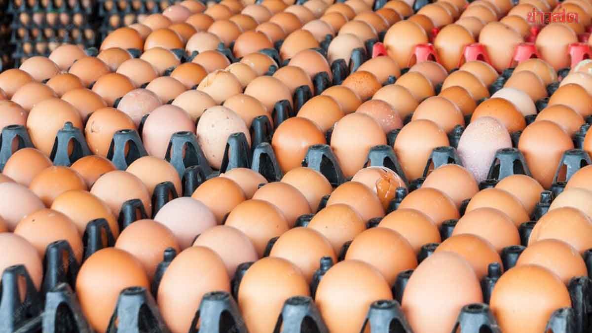 ภาพประกอบข่าว: แม่บ้านจ๊าก ไข่ไก่ขึ้นราคาอีก 20 สตางค์ เป็นฟองละ 3.40 บาท มีผล 17พ.ย.นี้
