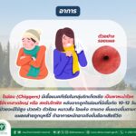 เตือนสายเดินป่า ระวังไรอ่อน พาหะนำโรคร้าย ไข้รากสาดใหญ่ อีสานใต้ ตายแล้ว 2 ติดเชื้อ 1,066