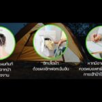 เตือนสายเดินป่า ระวังไรอ่อน พาหะนำโรคร้าย ไข้รากสาดใหญ่ อีสานใต้ ตายแล้ว 2 ติดเชื้อ 1,066
