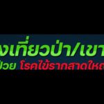 เตือนสายเดินป่า ระวังไรอ่อน พาหะนำโรคร้าย ไข้รากสาดใหญ่ อีสานใต้ ตายแล้ว 2 ติดเชื้อ 1,066