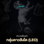 คืนนี้ห้ามพลาด ส่องฝนดาวตกลีโอนิดส์ ตกสูงสุดเฉลี่ย 15 ดวงต่อชั่วโมง แนะชมหลังเที่ยงคืน เป็นต้นไป