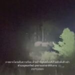 ระทึก! โขลงช้างป่า กว่า 140 ตัว บุกกินพืชไร่ ติดแนวเขตป่าทับลาน เตือนชาวบ้าน เก็บเห็ดป่าระวังอันตราย