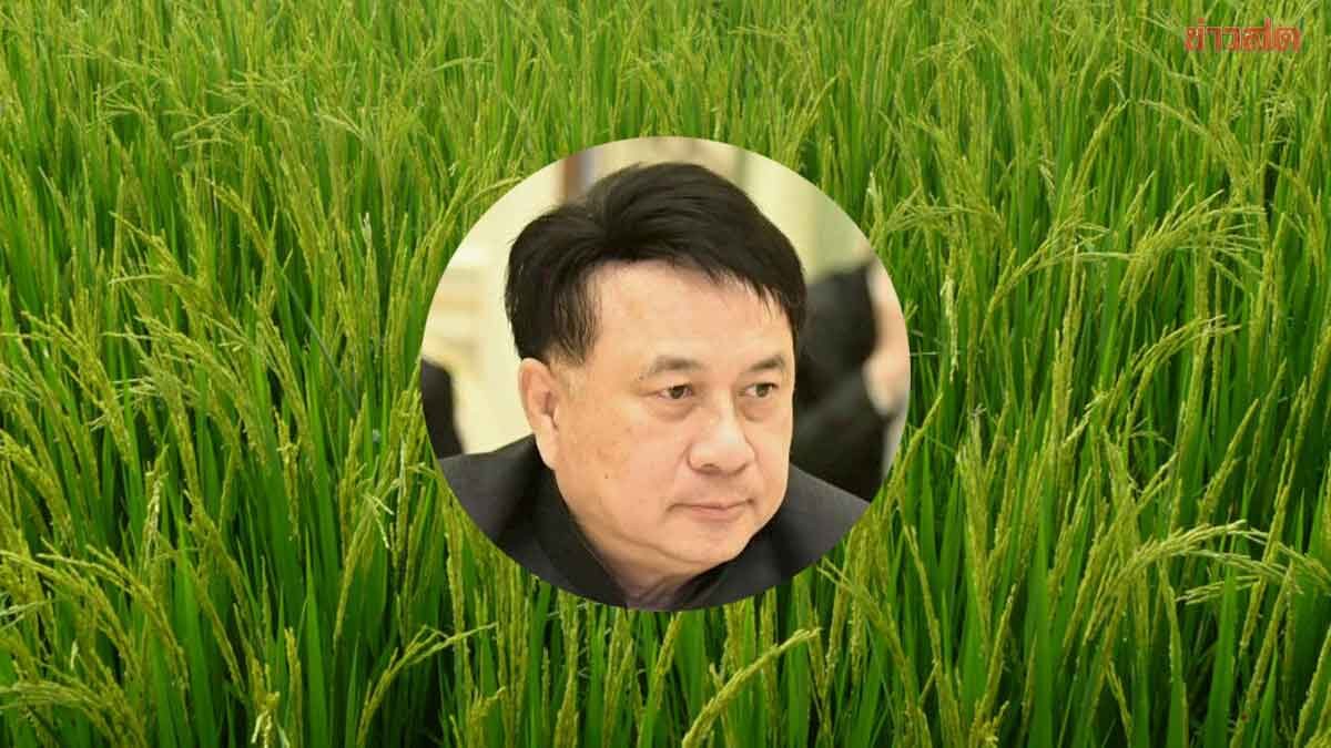 ภาพประกอบข่าว: กระทรวงเกษตรฯ เผยโครงการ เปลี่ยนนาปรังล้านไร่ ยังไม่ลงตัว ต้องหารือรายละเอียดเพิ่ม