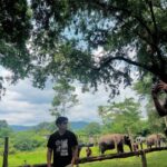รวมพลัง ร่วมส่งเสียง แทนสัตว์ไร้เสียง ฉลอง 75 ปี World Animal Protection