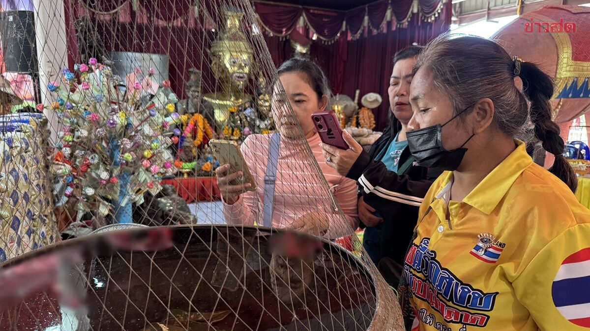 .สาวนครสวรรค์ หอบฟักทอง 1 ตัน แก้บน 'ปู่ฤาษีพรหมเมศ' ไม่พลาดส่องเลขเด็ด เห็นชัด เล็งเสี่ยงโชค.