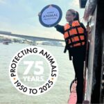 รวมพลัง ร่วมส่งเสียง แทนสัตว์ไร้เสียง ฉลอง 75 ปี World Animal Protection
