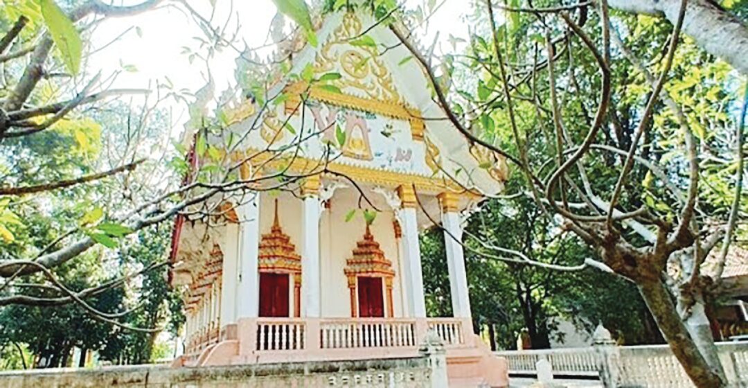 รายงานพิเศษ