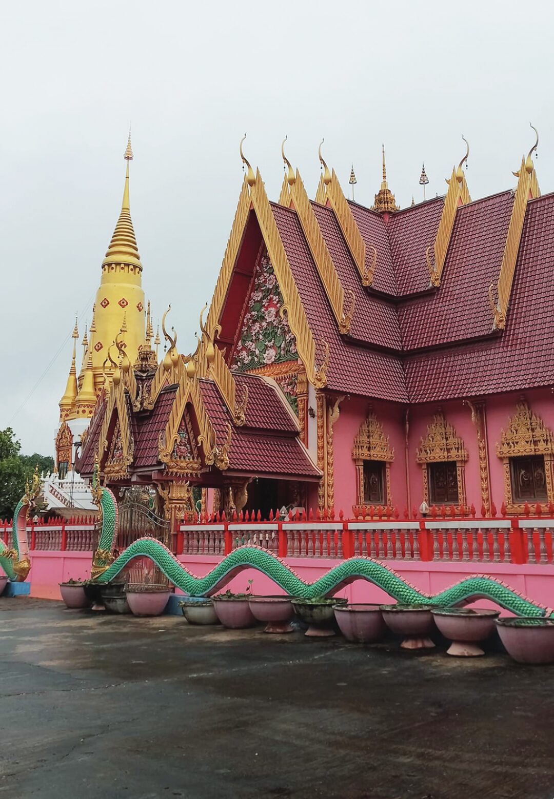 รายงานพิเศษ