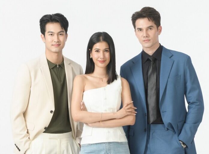 เรื่องย่อ แผนรักฉบับร้าย