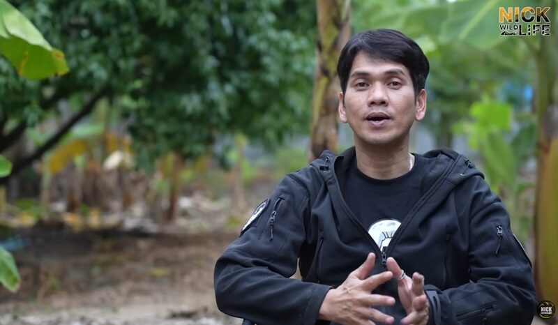 นิค อสรพิษวิทยา เล่านาทีวิกฤต ถูกงูจงอางกัด เหมือนเข็มนับ 10 เล่มแทงนิ้วมือ น้ำพิษสีเหลืองไหลออกมา