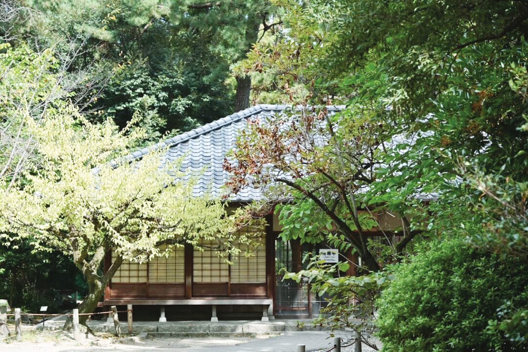 หลาก&หลาย