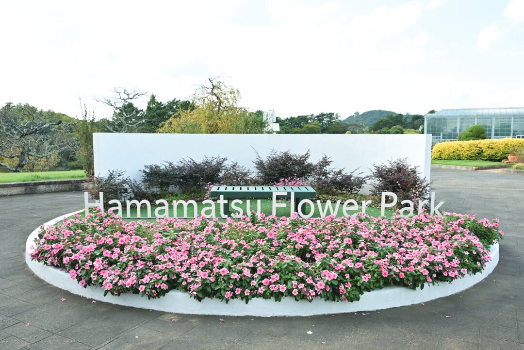 หลาก&หลาย