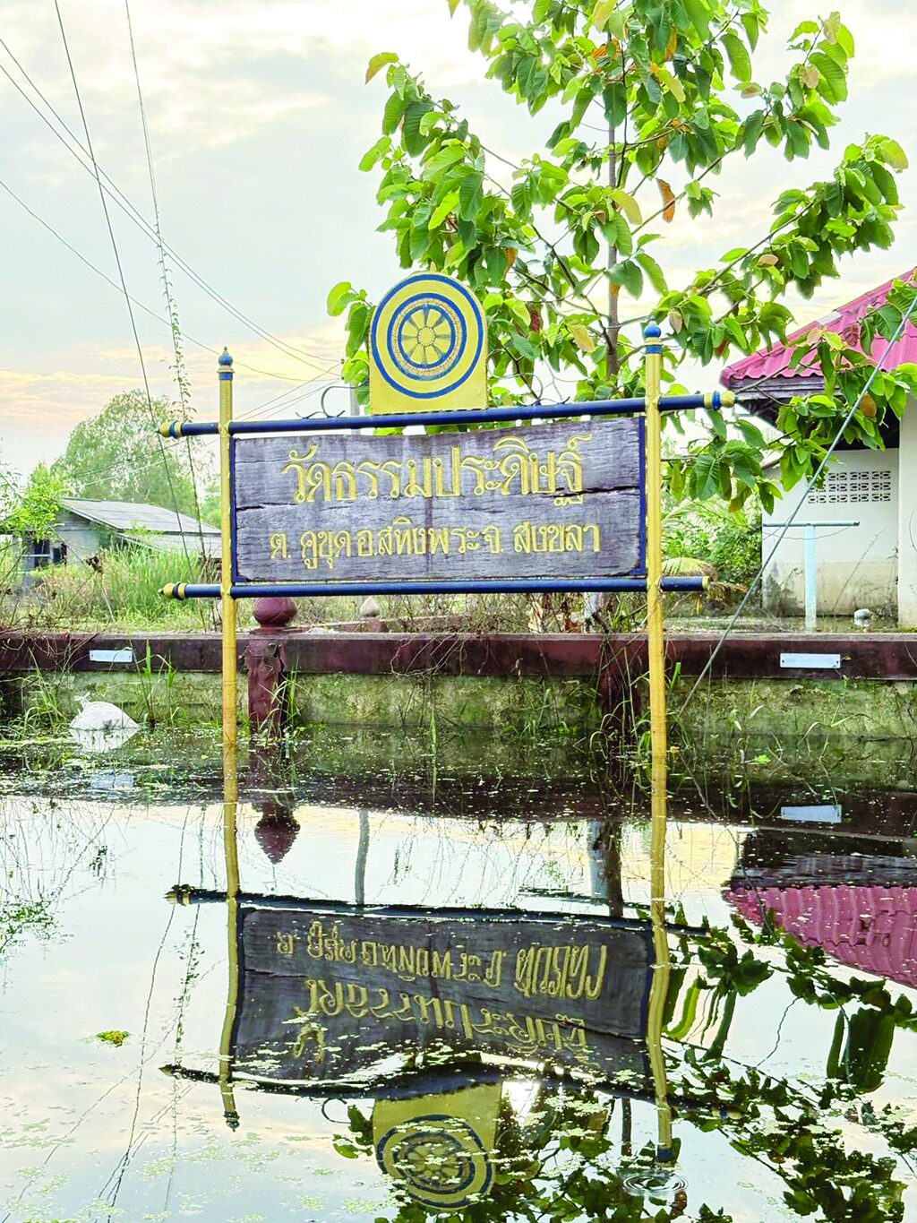 ข่าวสดพระเครื่อง - เร่งช่วยเยียวยาพระ-เณร วัดถูกน้ำท่วมในสงขลา