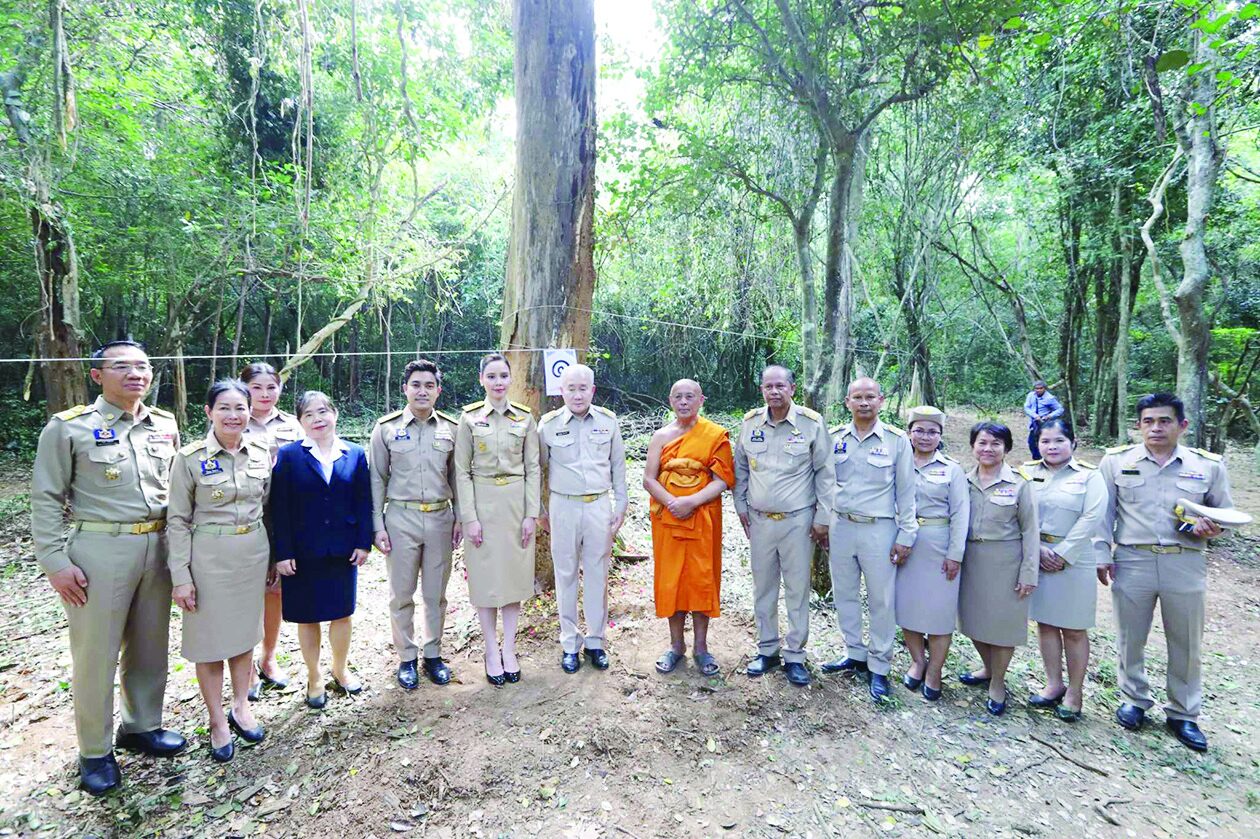 ข่าวสดพระเครื่อง - บวงสรวงตัด‘ไม้จันทน์หอม’ สร้างพระโกศ-พระหีบจันทน์