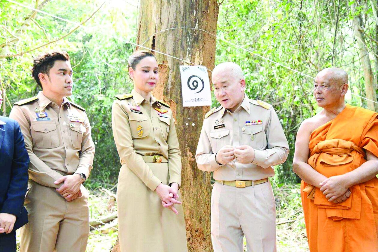 ข่าวสดพระเครื่อง - บวงสรวงตัด‘ไม้จันทน์หอม’ สร้างพระโกศ-พระหีบจันทน์