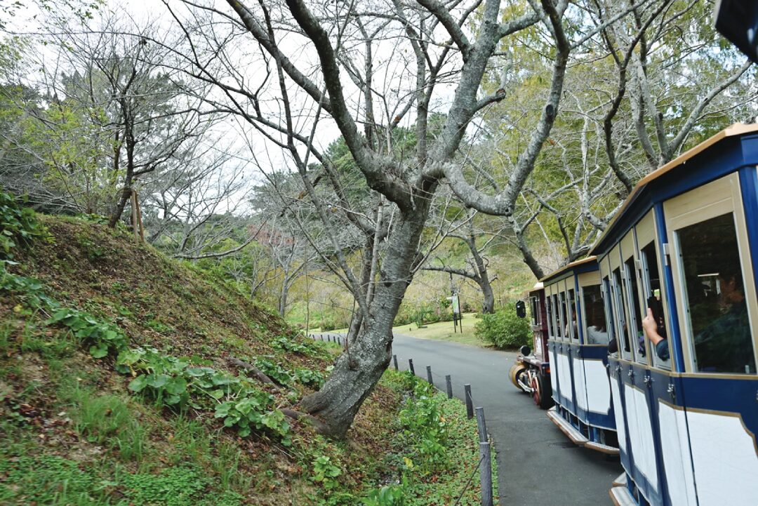 หลาก&หลาย