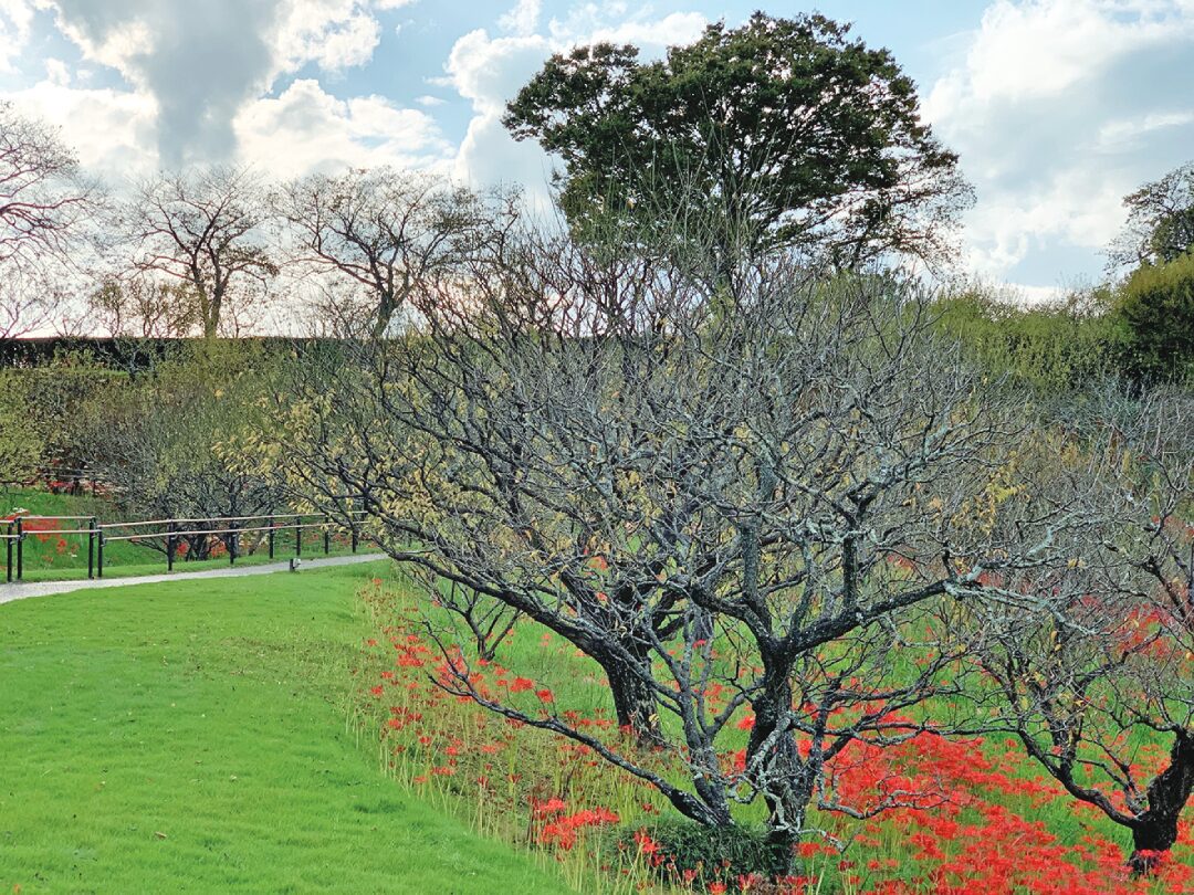 หลาก&หลาย