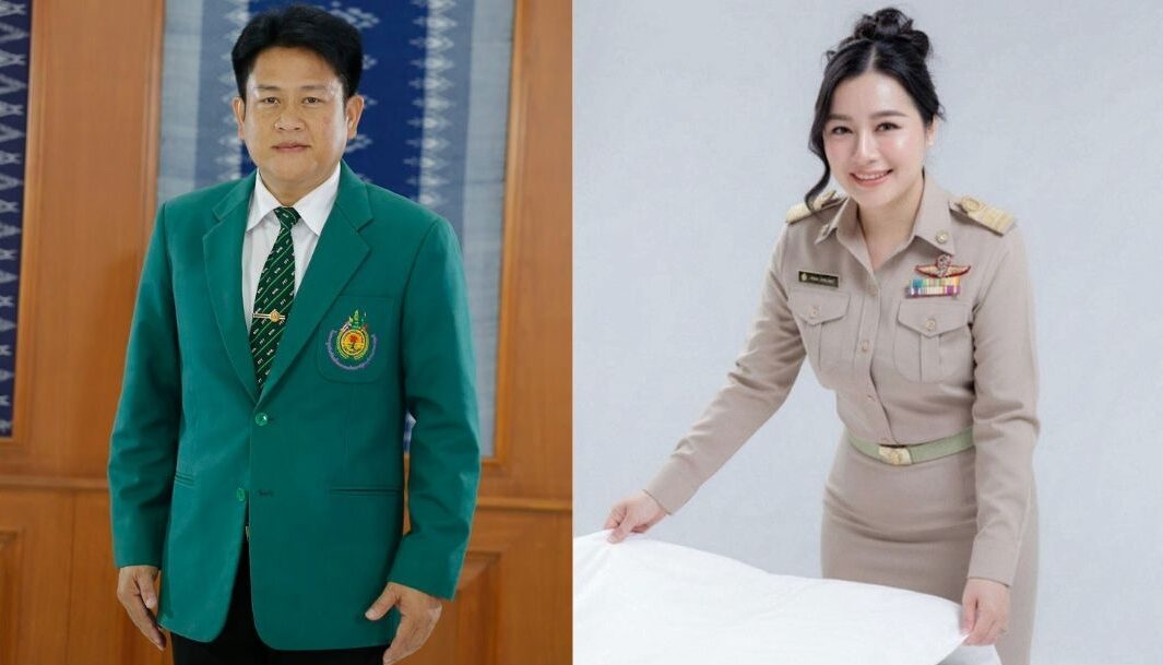 วิชาชีพ
