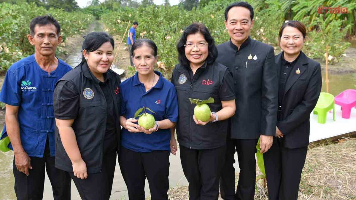 ภาพประกอบข่าว: กรมทรัพย์สินทางปัญญา ปลื้ม “ฝรั่งสามพราน” สินค้า GI ทำรายได้ปีละกว่า 350 ล้านบาท