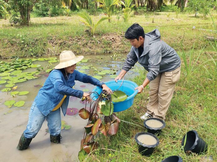 ชวนกันมา พากันมู