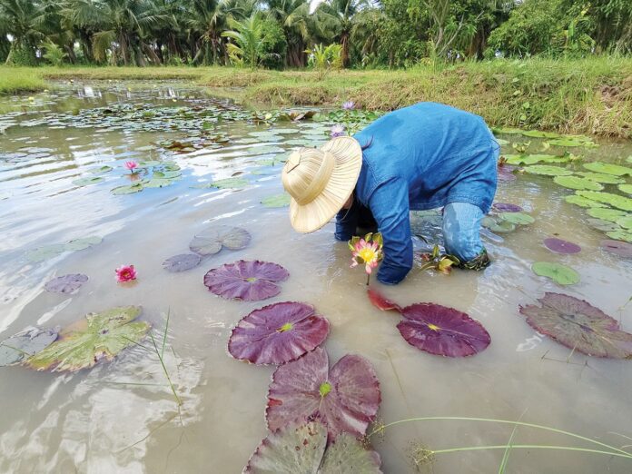 ชวนกันมา พากันมู