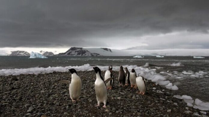 Even frozen Antarctica is being walloped by climate extremes, scientists find