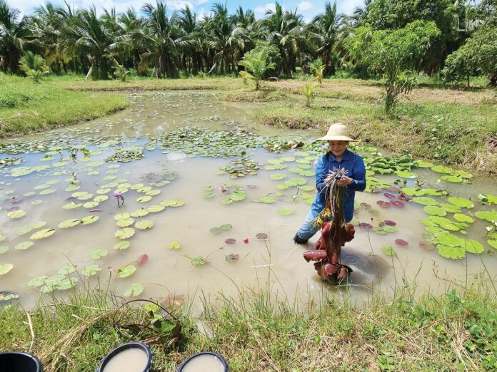 ชวนกันมา พากันมู