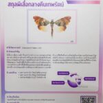 นักวิจัยเกษตรฯ ค้นพบ สิ่งมีชีวิตใหม่ ของโลก รับพระราชทานชื่อ สมเด็จพระกนิษฐาธิราชเจ้า