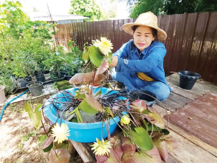 ชวนกันมา พากันมู