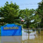 พัทลุง 5 อำเภอ ริมทะเลสาบ น้ำยังท่วมขัง เกษตรกรทุกข์หนัก ควายน้ำทะเลน้อยเริ่มช็อกตายนับสิบ