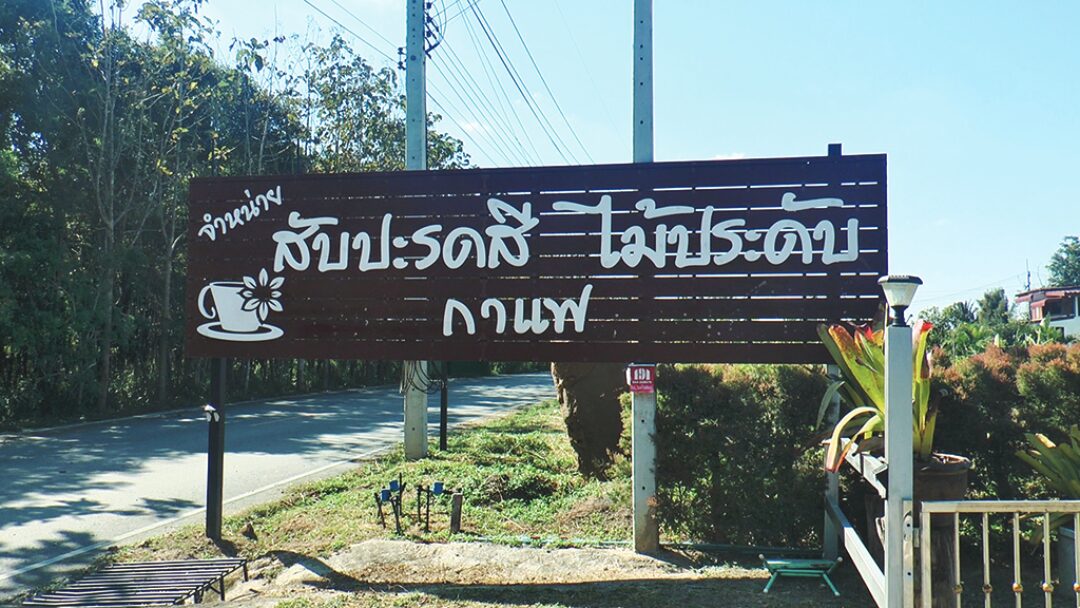 หลาก&หลาย