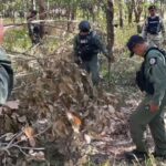ชุด EOD เร่งตรวจสอบ กระสุนปืนใหญ่ เขมร ตกค้าง-ไม่ระเบิด หมู่บ้านสีแดงใกล้ปราสาทตาควาย
