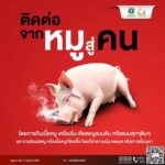 เตือนสังสรรค์ปีใหม่ระวัง โคราช พบผู้ป่วย โรคไข้หูดับ 93 ราย เสียชีวิต 13 ราย สธ.แนะวิธีป้องกัน