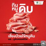 เตือนสังสรรค์ปีใหม่ระวัง โคราช พบผู้ป่วย โรคไข้หูดับ 93 ราย เสียชีวิต 13 ราย สธ.แนะวิธีป้องกัน