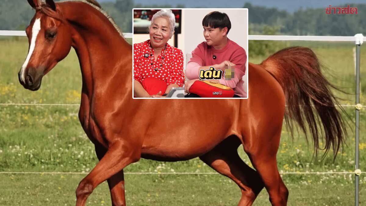 .รวมเซียนหวย เลขเด็ดปีม้า งวดแรกปี69 อย่าพลาด ป้าแดง เซนส์แรงลั่นจะถูกรางวัลที่1.