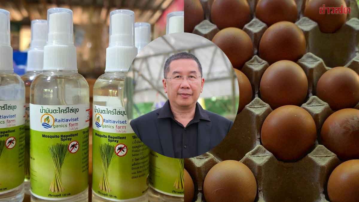 ภาพประกอบข่าว: สศก. ชูโมเดล “ ไร่เตียวิเศษ ” เกาะพะงัน เกษตรอินทรีย์ Demand-led ใช้ Zero Waste ลดต้นทุน 36% ปั้นราย