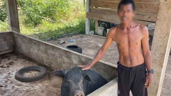 真实人间：当炮弹落下，下水道成了他们最后的避风港……