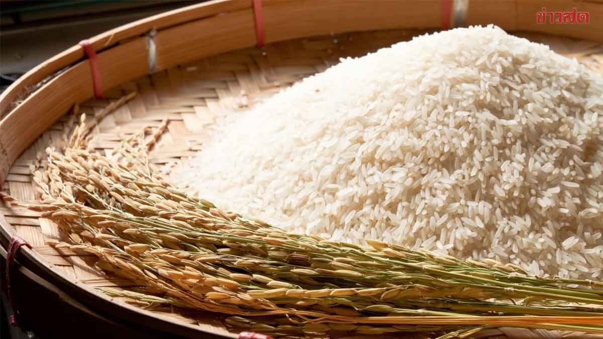 ภาพประกอบข่าว: ข้าวจีทูจี ไทย–จีน 1แสนตัน ติดล็อกสัญญาหมดอายุ เสี่ยงส่งมอบไม่ทันสิ้นปี