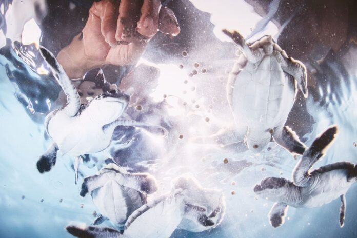 ปักหมุดศิลปวัฒนธรรม