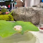 ร้าน Kyo Roll En เสิร์ฟเก๋ ขนมลอยน้ำกลางสวนสวย