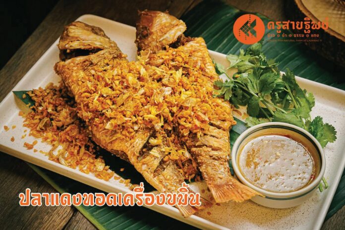 หลาก&หลายอิ่มอร่อย
