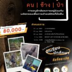 คนรุ่นใหม่ลุกขึ้น 'แฮกไอเดีย' แก้ปัญหาคน-ช้าง-ป่า พลิกความขัดแย้ง-อยู่ร่วมกันยั่งยืน