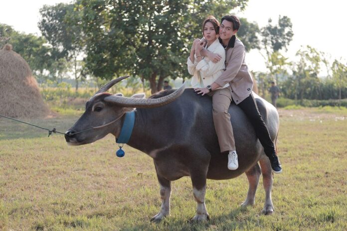 สกู๊ปบันเทิง