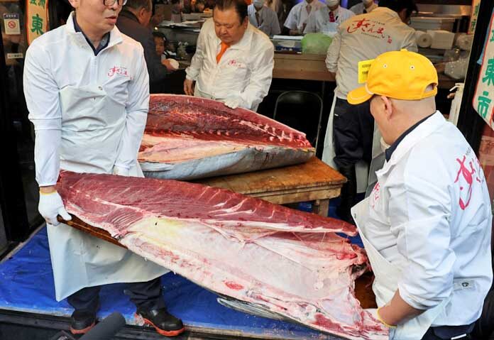 พนักงานของบริษัท Kiyomura ซึ่งเป็นเจ้าของเครือร้านซูชิ Sushi Zanmai กำลังขนเนื้อปลาทูน่าครีบน้ำเงินหนัก 243 กิโลกรัม ที่ถูกประมูลไปในราคาสูงเป็นประวัติการณ์ถึง 510 ล้านเยน (3.24 ล้านดอลลาร์สหรัฐ) ในการประมูลครั้งแรกของปี 2026 ที่ตลาดปลาโทโยสุ กรุงโตเกียว หลังจากที่พวกเขาแล่ปลาทูน่าที่ร้านซูชิในกรุงโตเกียว ประเทศญี่ปุ่น เมื่อวันที่ 5 มกราคม 2026