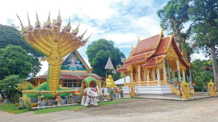 ชวนกันมาพากันมู